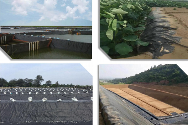 Application of geomembrane in aquaculture